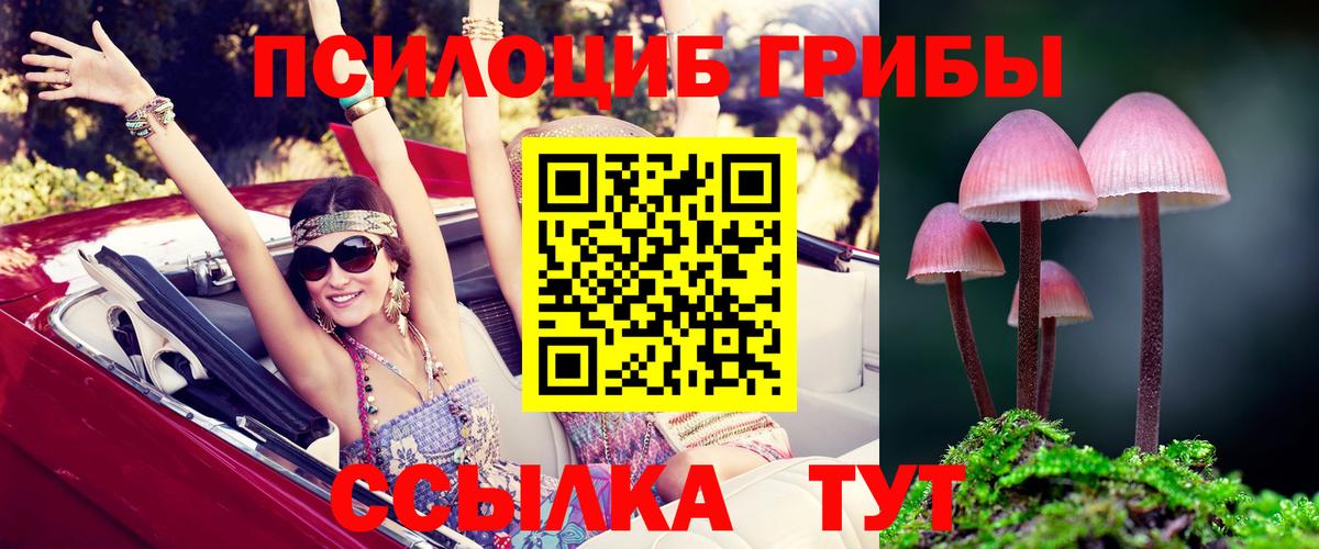 Галлюциногенные грибы Magic Shrooms  Вход с VPN  Псилоцибиновые грибы MAGIC MUSHROOMS  Красный Сулин 