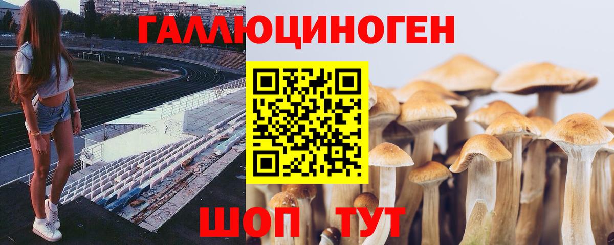 Галлюциногенные грибы мухоморы Красный Сулин